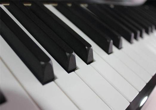 烏木琴鍵(Keyboard)